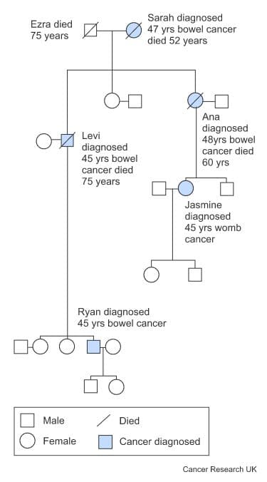 Diagram showing a family tree.