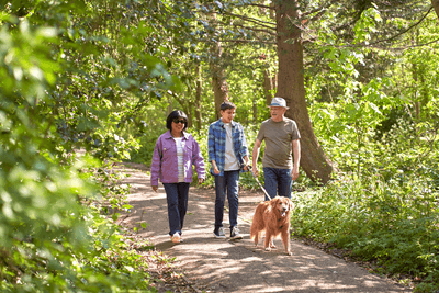 Photograph showing people and a dog walking in the park.