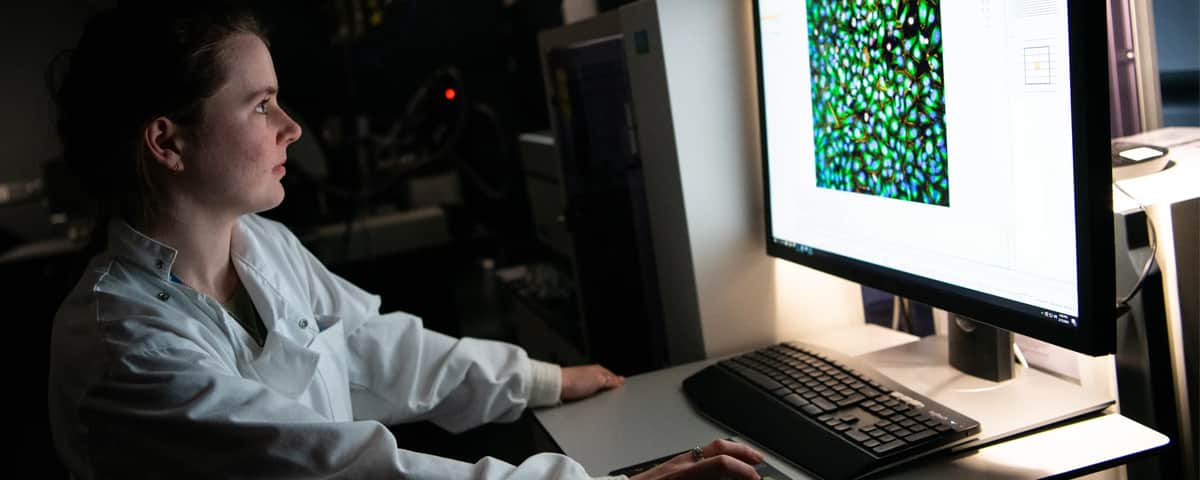Researcher studying samples on the screen.