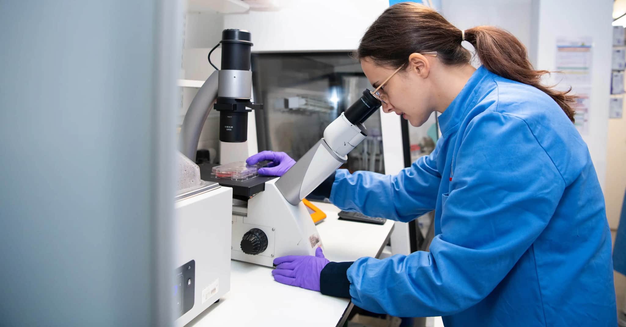Female researcher in a lab looking down a microscope.