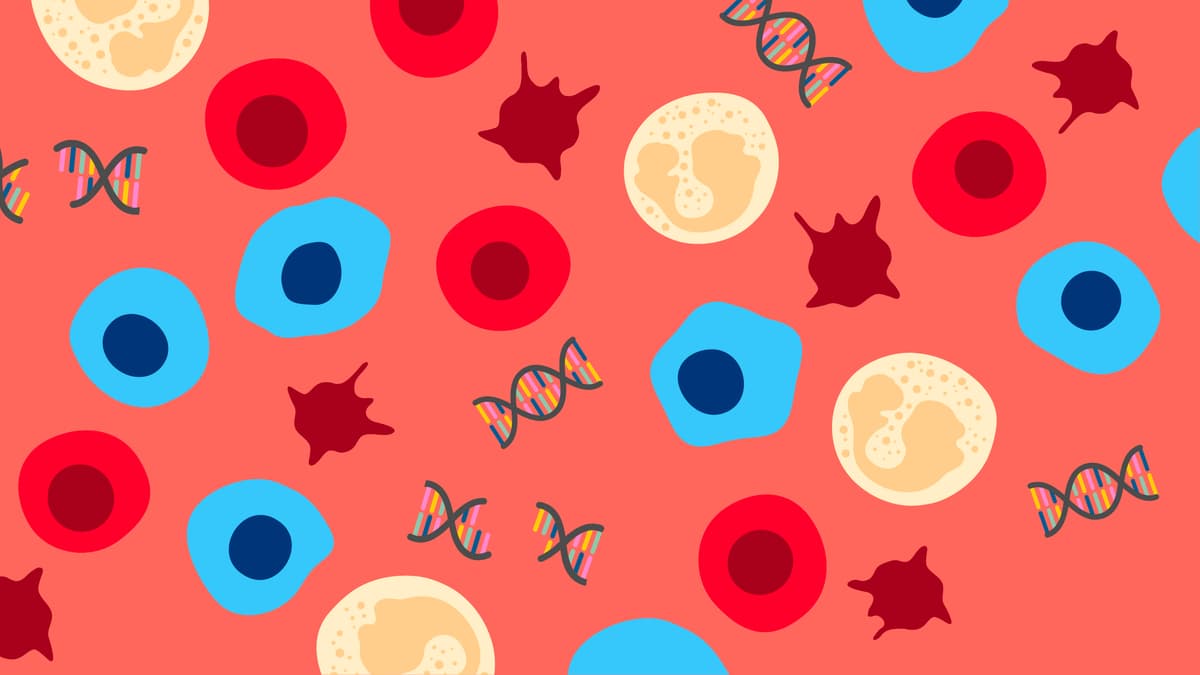 A microscopic illustration of the cells in our blood.