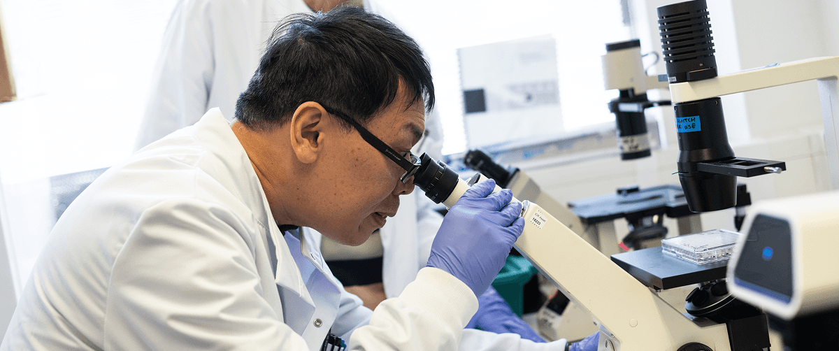 Researcher looking down a microscope.