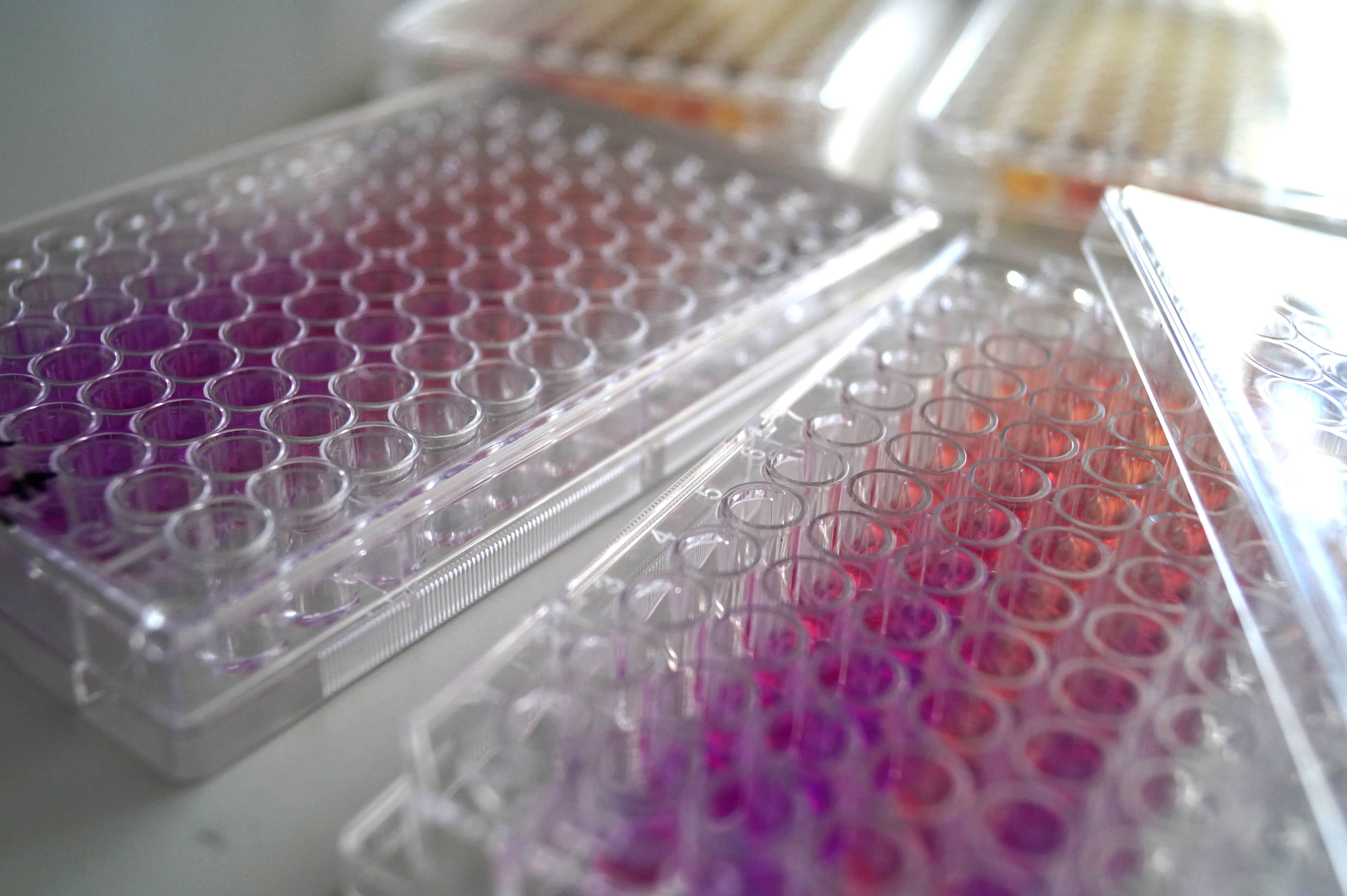 Southampton Centre - Science Lab Equipment.