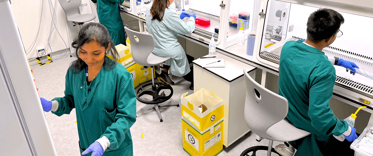 In this lively lab setting, our group of postgraduate researchers are collaboratively preparing media for patient.