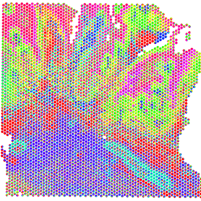 Deep histopathological analysis.