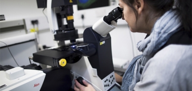 Scientist looking down a microscope