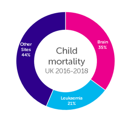 chart showing the percentage of child mortality in the UK 2016-18. Brain (35%), Leukaemia (21%) and Other sites (44%)