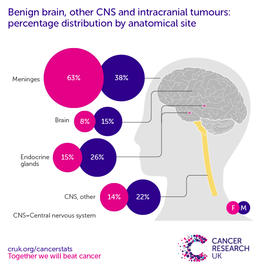 a infographic showing the most common specific location for malignant brain, other CNS and intracranial tumours in the UK is the brain (2016-2018).