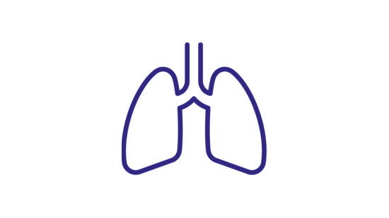 Lung Icon