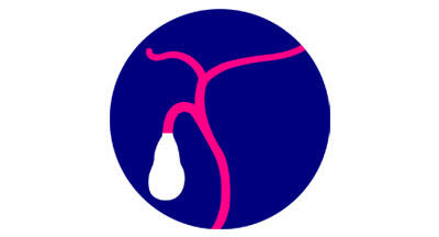 bile duct icon