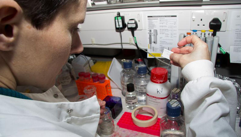 A researcher at a lab bench