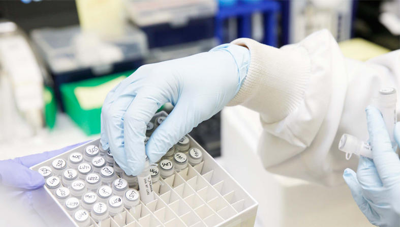 Researcher loading samples into a tray