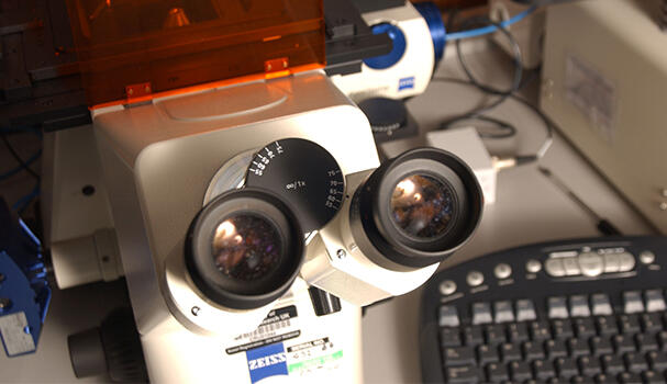 Microscope in a lab