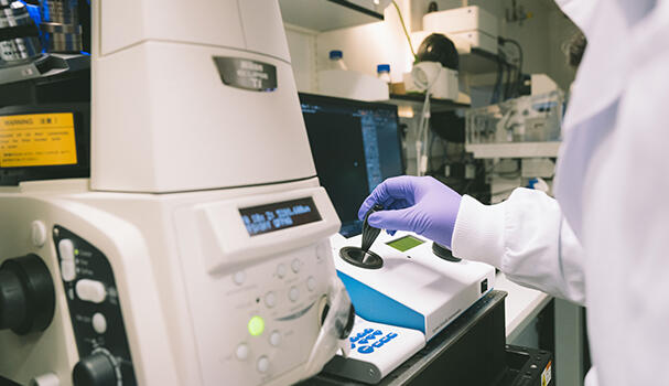 Researchers working with lab equipment