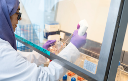 Close up image of researcher working in a lab