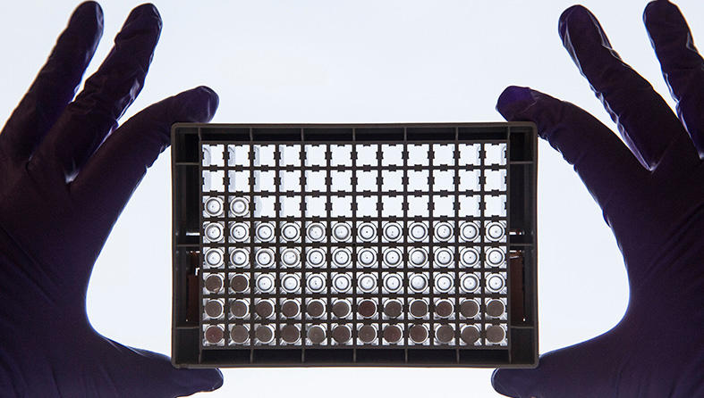 Silhouette of hands holding a tray of samples