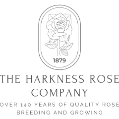 The Harkness Rose company