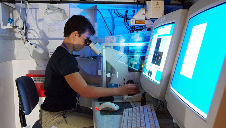 Researcher using a microscope that projects the image on a screen.