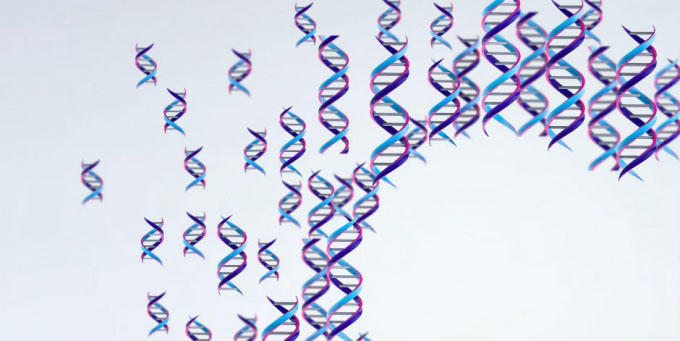 Creating a genomic map of the immune response Creating a genomic map of the immune response