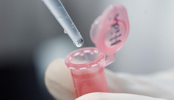 Pipette and test tube