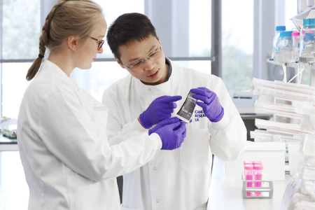 image of 2 researchers looking at a specimen in a lab