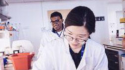 Group of researchers working in the lab