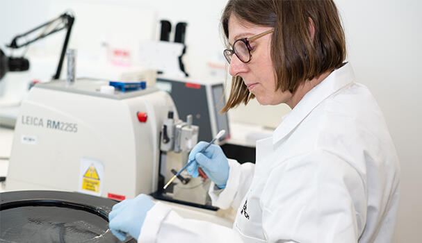 Researcher working in the lab