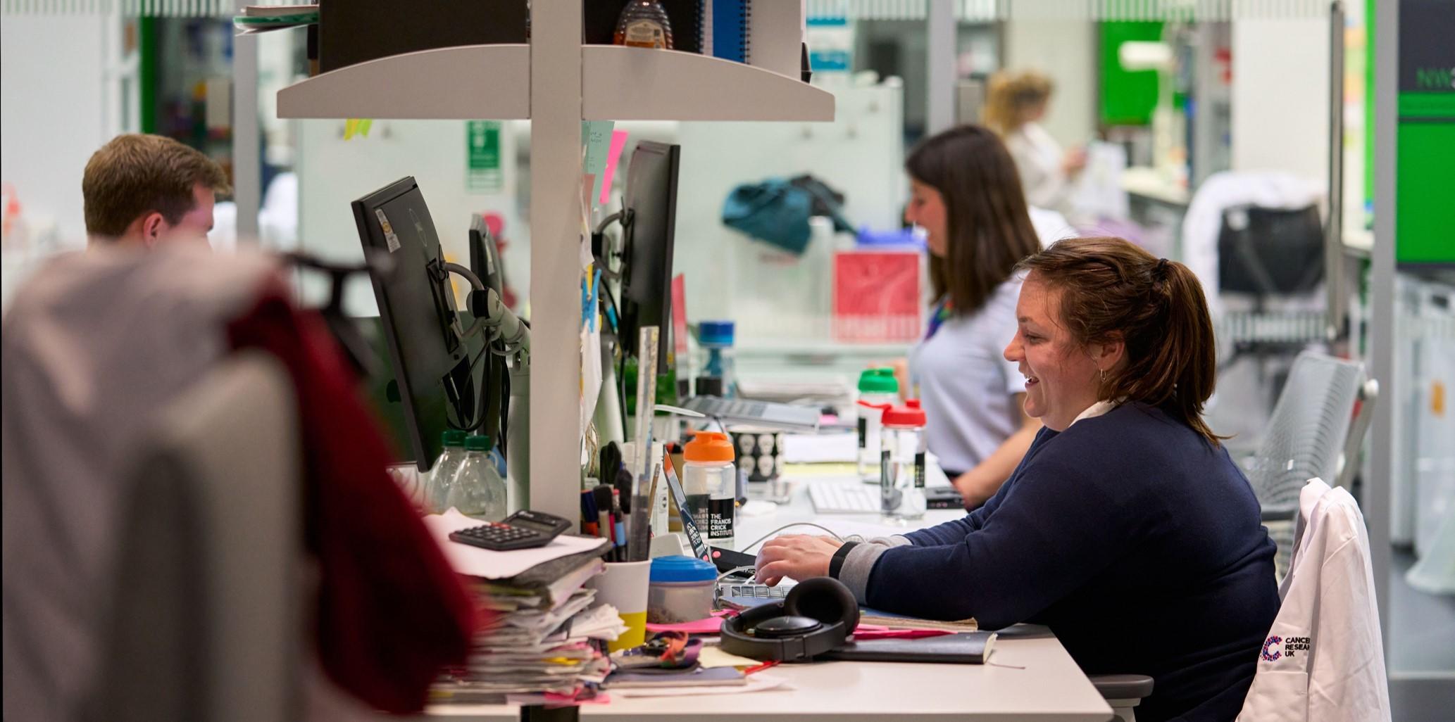 Researchers work in an office at computers