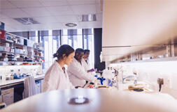 A photo of researchers in a lab 