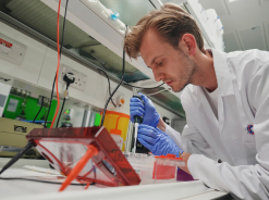 A researcher in a lab