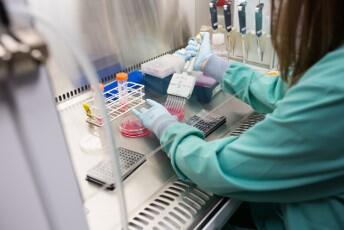 Researcher working in the lab