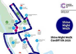 Shine Night Walk Cardiff