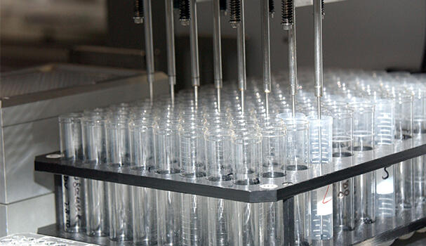 Test tubes in a  lab