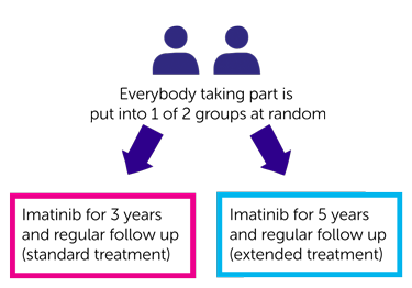 study diagram