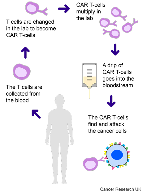 ALETA-001 trial diagram