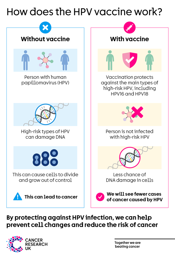 How does the HPV vaccine work HPV vaccination protects against HPV infection, so there is less chance of DNA damage in cells and fewer cancers caused by HPV.