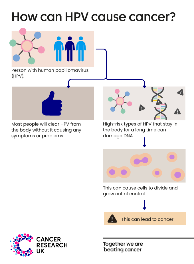 Image showing that HPV can damage cells, which can lead to cancer