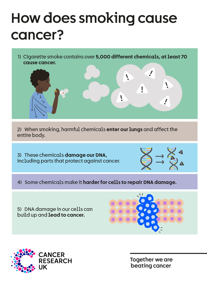 How smoking causes cancer DNA is found in all our cells and controls how they behave. Even one cigarette can damage DNA. It’s the build-up of DNA damage in the same cell over time that leads to cancer.