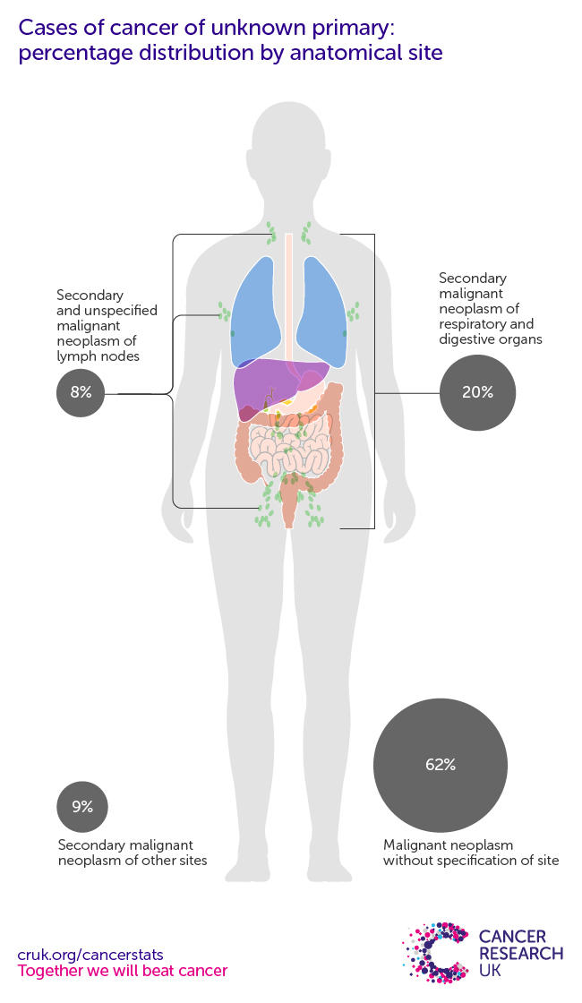 Infographic showing cancers of unknown primary 
